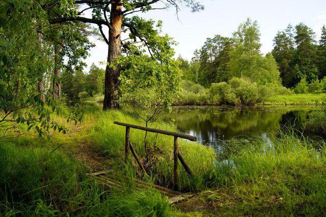 vacances avec des tentes région de Ryazan