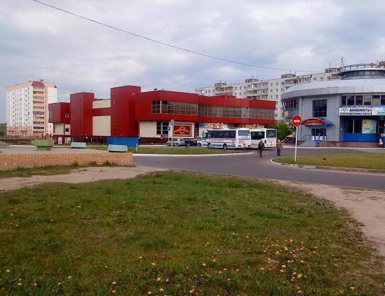 Ville de Fryazino, région de Moscou: description, photo