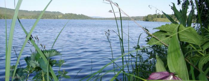 Territoire de Krasnoïarsk: Lake Linevo. Photo Centres de loisirs