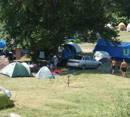 camping leermontovo photo