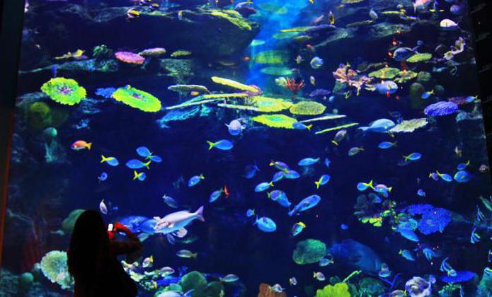 Siam Oceanarium Bangkok