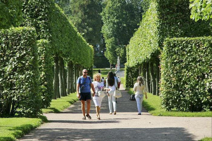 Adresse du parc de catherine