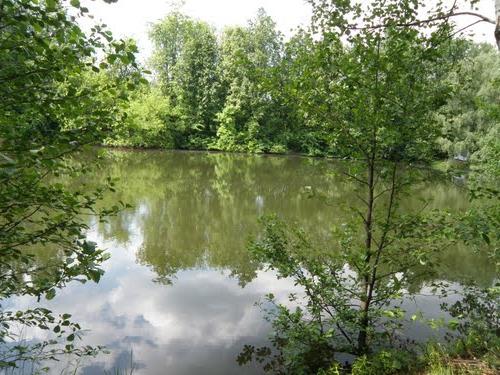 VILAR (jardin botanique): coin vert au centre de la mégalopole