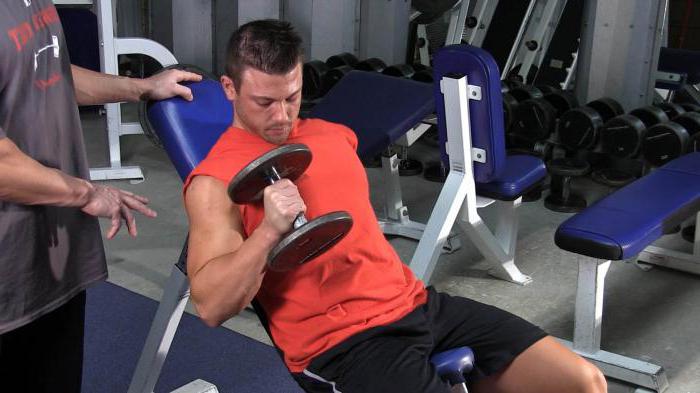 exercer sur les triceps biceps dans la salle de gym 