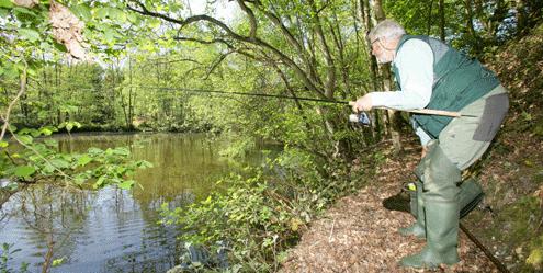 La récolte du crucian au printemps sur une canne à pêche flottante n'est pas facile, mais fascinante