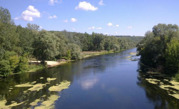 Pêche dans la région de Kharkov: les meilleurs endroits