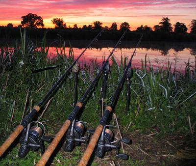 S'attaquer à la pêche à la carpe en été