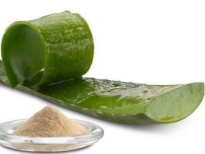 propriétés utiles de l'aloe vera