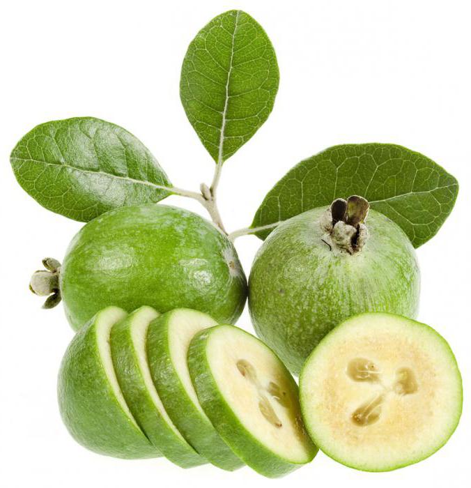  feijoa utile et comment utiliser