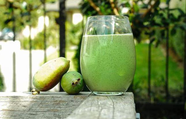 comment utiliser feijoa à des fins médicinales 