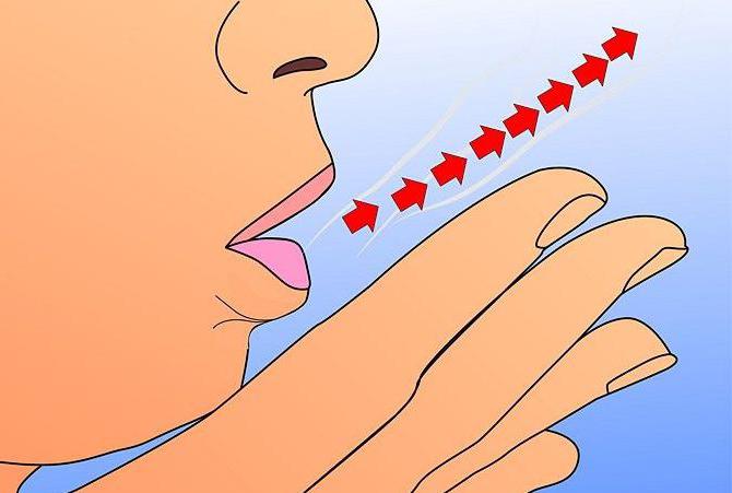 fonction de la respiration externe