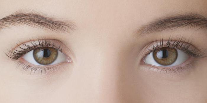Inflammation de l'œil que celle des adultes et des enfants